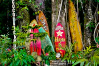a group of surfboards leaning against a tree
